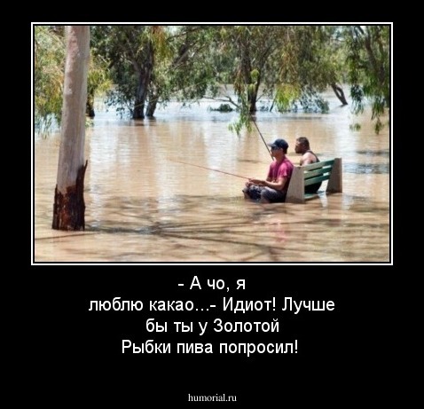 - А чо, я люблю какао...- Идиот! Лучше бы ты у Золотой Рыбки пива попросил!