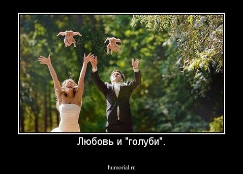Любовь и "голуби".