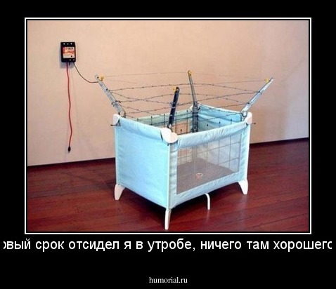 А первый срок отсидел я в утробе, ничего там хорошего нет..