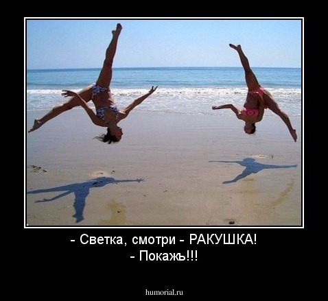 - Светка, смотри - РАКУШКА!
- Покажь!!!