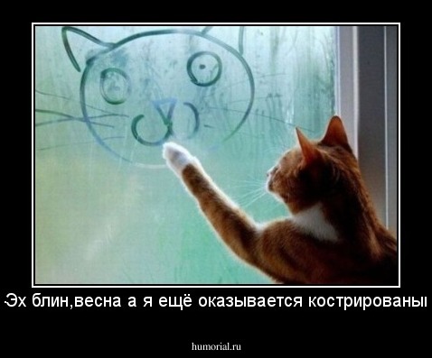 -Эх блин,весна а я ещё оказывается кострированый