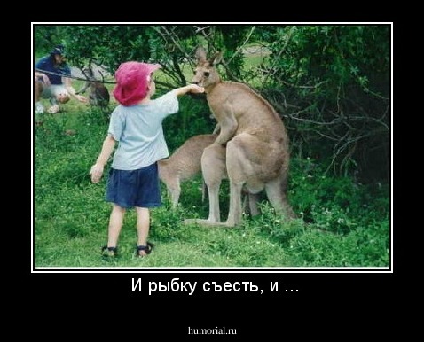  И рыбку съесть, и ...