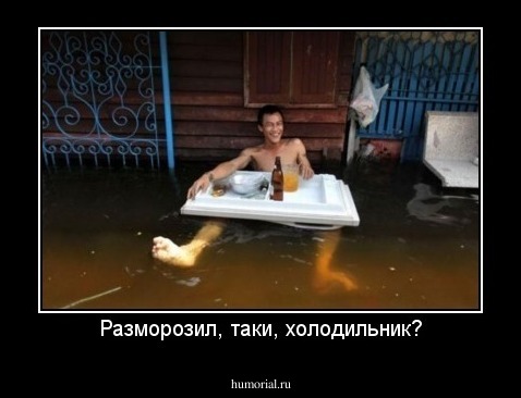 Разморозил, таки, холодильник?