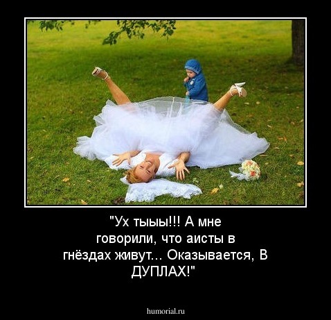 "Ух тыыы!!! А мне говорили, что аисты в гнёздах живут... Оказывается, В ДУПЛАХ!"