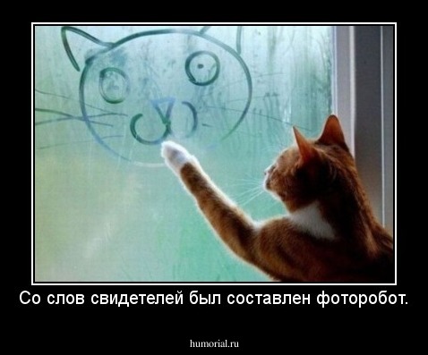 Со слов свидетелей был составлен фоторобот.