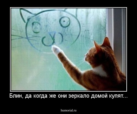 Блин, да когда же они зеркало домой купят...