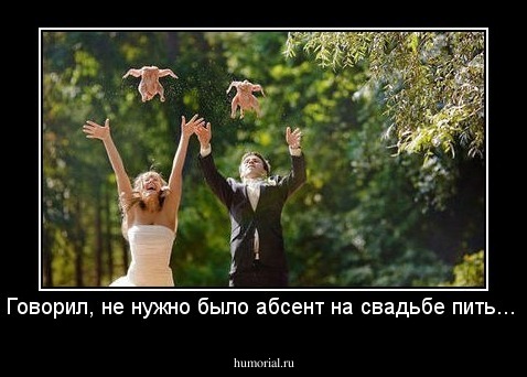 Говорил, не нужно было абсент на свадьбе пить... 