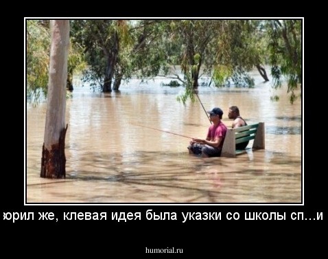 Говорил же, клевая идея была указки со школы сп...ить. 