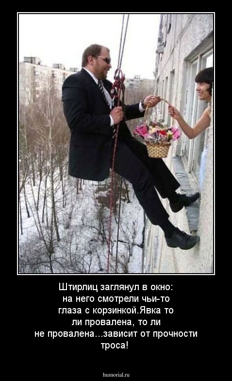 Штирлиц заглянул в окно: на него смотрели чьи-то глаза с корзинкой.Явка то ли провалена, то ли не провалена...зависит от прочности троса!
