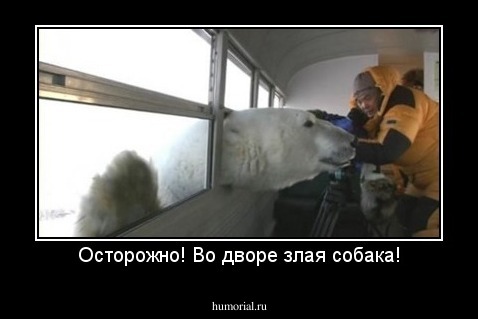 Осторожно! Во дворе злая собака!