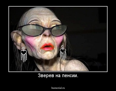 Зверев на пенсии.