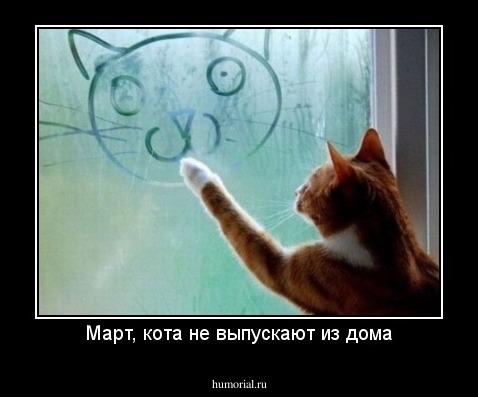Март, кота не выпускают из дома