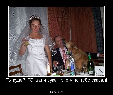 Ты куда?! "Отвали сука", это я не тебе сказал!