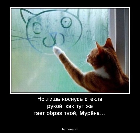  Но лишь коснусь стекла рукой, как тут же тает образ твой, Мурёна...
