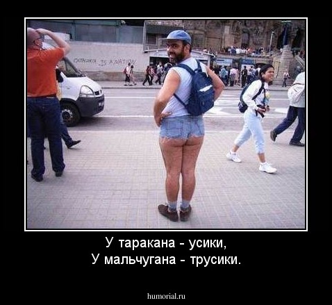У таракана - усики,
У мальчугана - трусики.