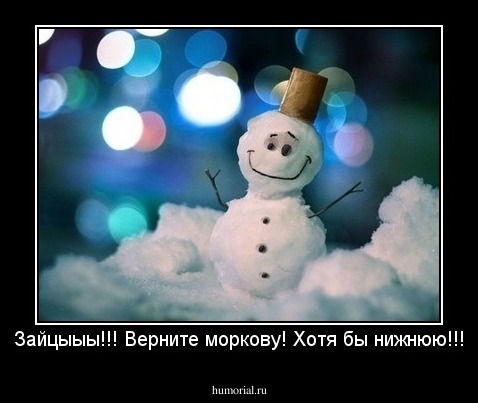 Зайцыыы!!! Верните моркову! Хотя бы нижнюю!!!