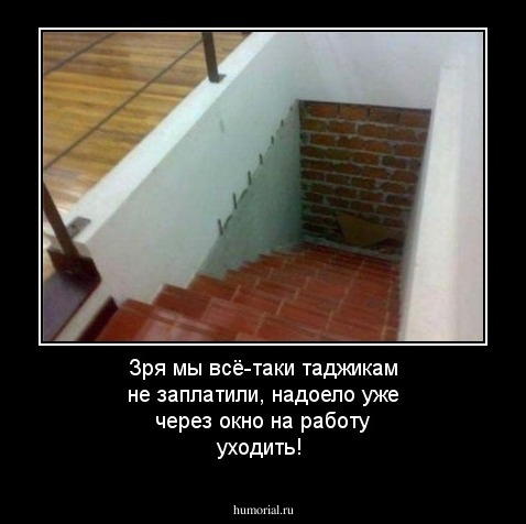 Зря мы всё-таки таджикам не заплатили, надоело уже через окно на работу уходить!