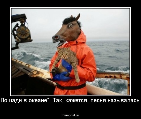 "Лошади в океане". Так, кажется, песня называлась?