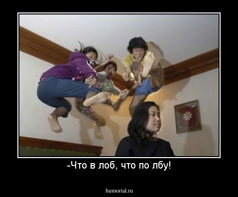 -Что в лоб, что по лбу!