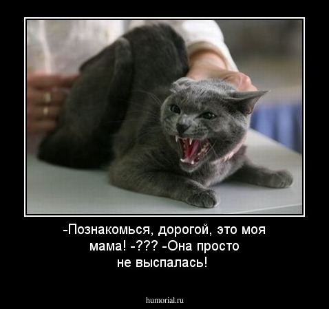 -Познакомься, дорогой, это моя мама!
-???
-Она просто не выспалась!