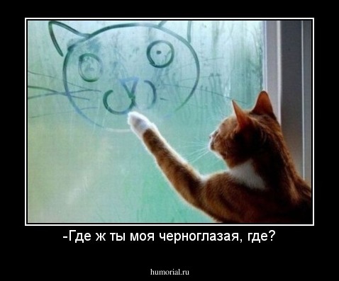 -Где ж ты моя черноглазая, где?