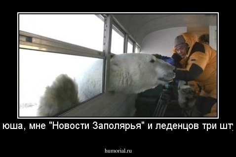 -Ванюша, мне "Новости Заполярья" и леденцов три штучки!