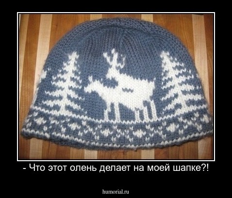 - Что этот олень делает на моей шапке?!
