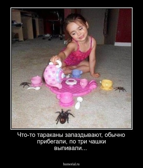 Что-то тараканы запаздывают, обычно прибегали, по три чашки выпивали...