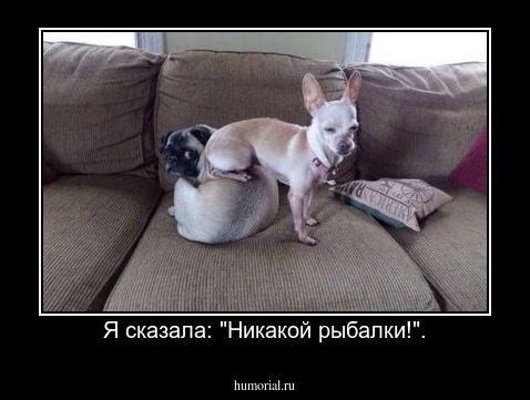 Я сказала: "Никакой рыбалки!".