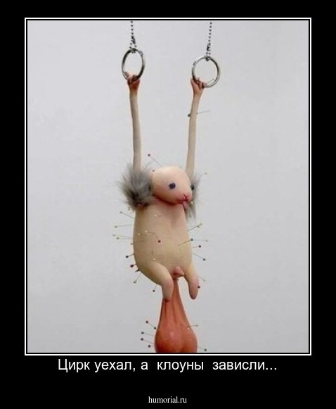 Цирк уехал, а  клоуны  зависли...