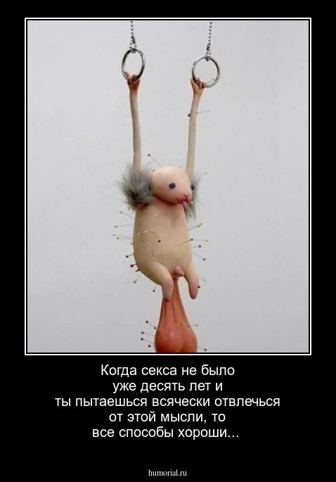 Когда секса не было уже десять лет и ты пытаешься всячески отвлечься от этой мысли, то все способы хороши...