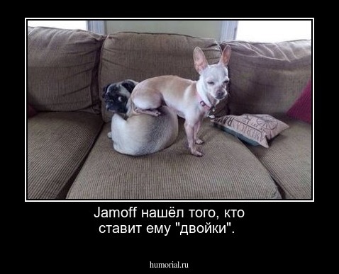 Jamoff нашёл того, кто ставит ему "двойки".