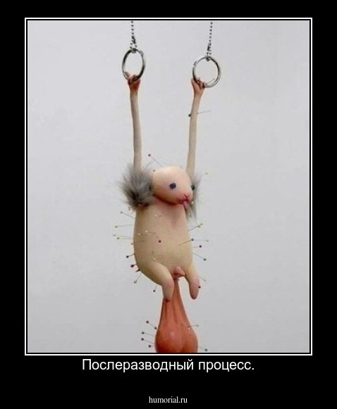 Послеразводный процесс.