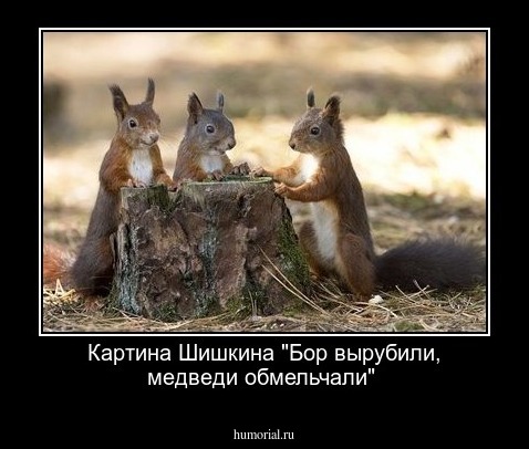Картина Шишкина "Бор вырубили,  медведи обмельчали" 