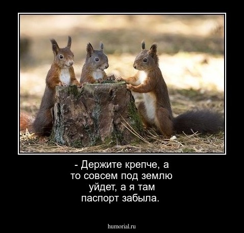 - Держите крепче, а то совсем под землю уйдет, а я там паспорт забыла.