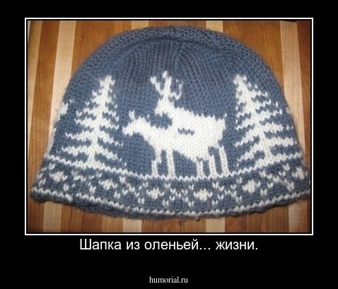 Шапка из оленьей... жизни.
