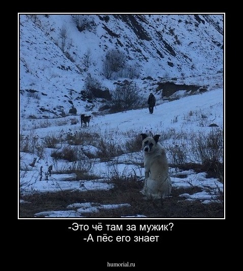 -Это чё там за мужик?
-А пёс его знает