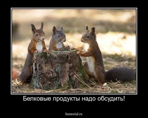 Белковые продукты надо обсудить!