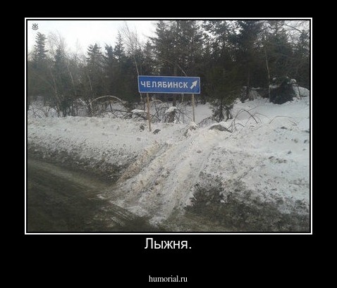 Лыжня.