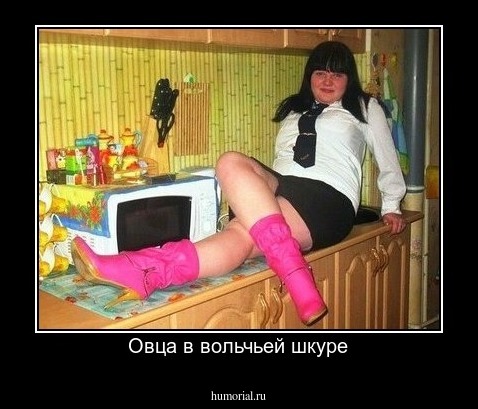 Овца в вольчьей шкуре
