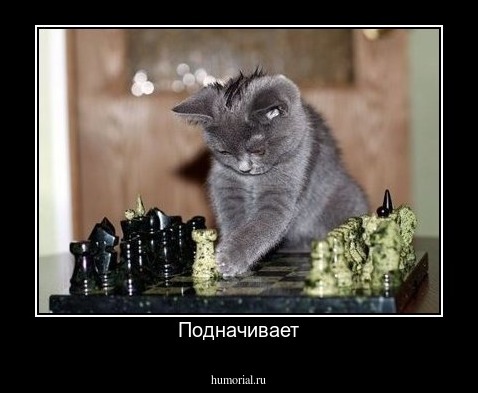 Подначивает