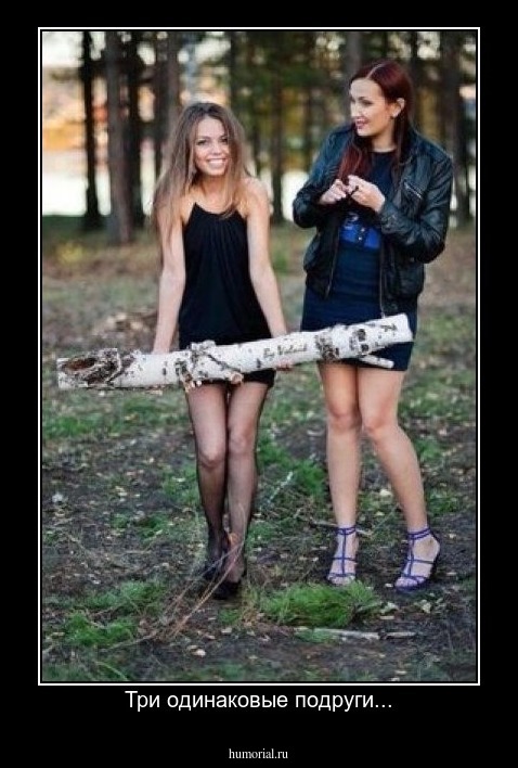 Три одинаковые подруги...