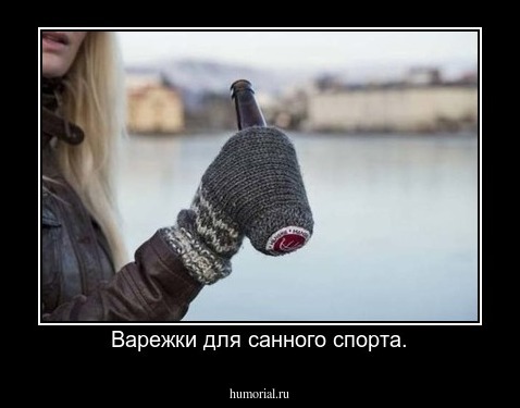 Варежки для санного спорта.