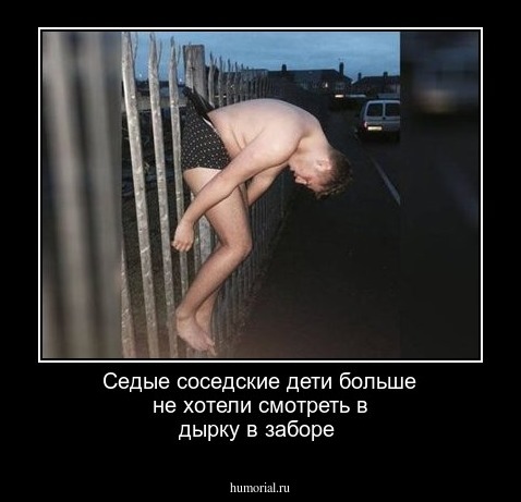 Седые соседские дети больше не хотели смотреть в дырку в заборе 