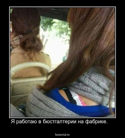 Я работаю в бюстгалтерии на фабрике.    