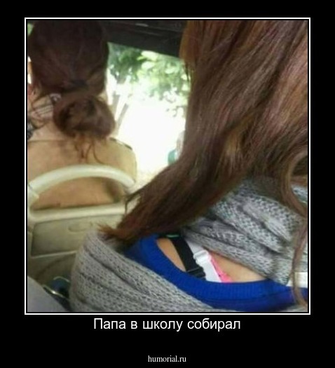 Папа в школу собирал
