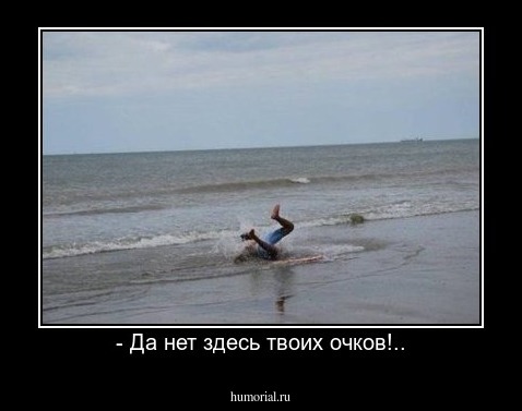 - Да нет здесь твоих очков!..