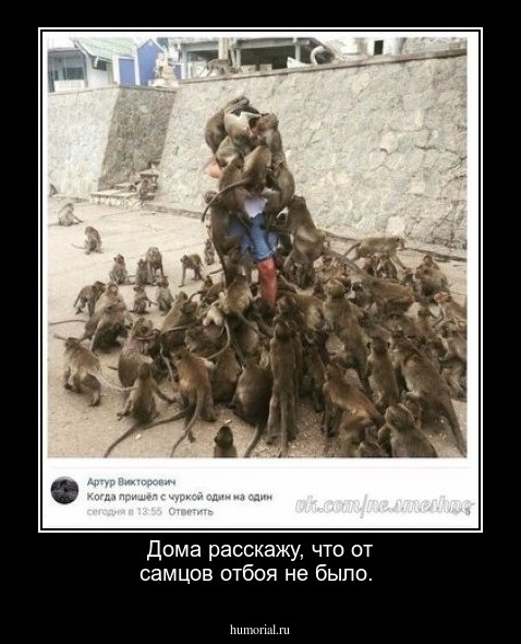 Дома расскажу, что от самцов отбоя не было.