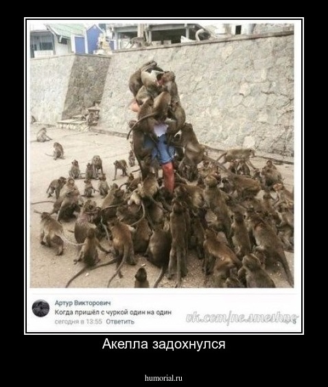Акелла задохнулся