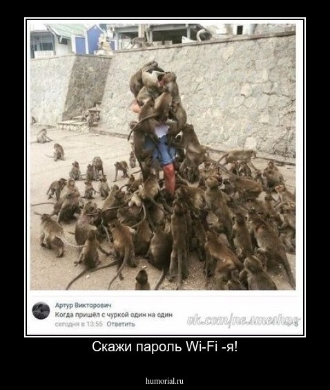 Скажи пароль Wi-Fi -я!